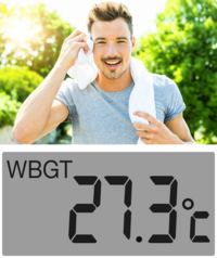 BC25 - Wet Bulb Globe Temperature Index (WBGT-Index)
